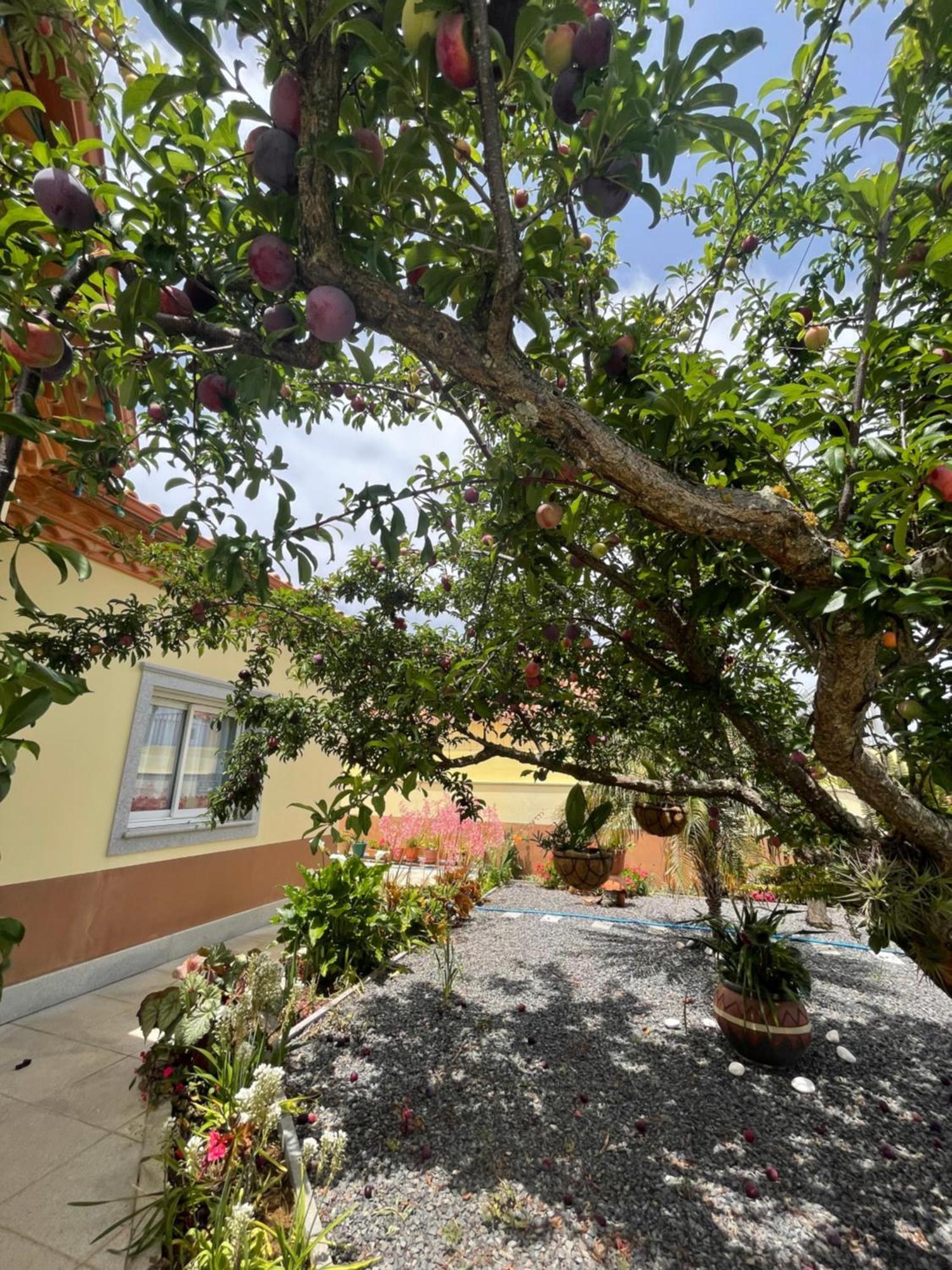 Belle Vue Hotel São Jorge Eksteriør billede